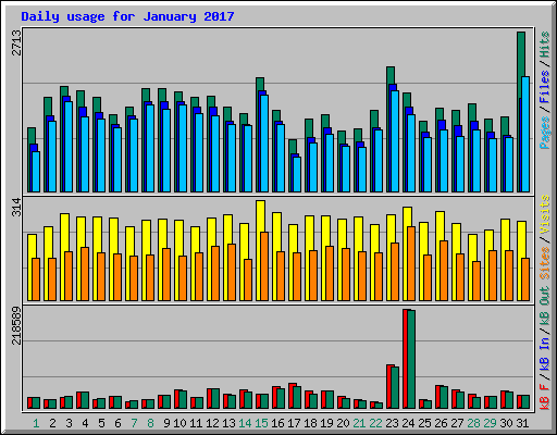 Daily usage for January 2017