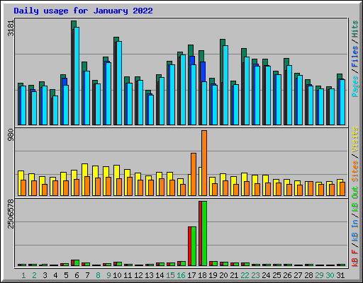 Daily usage for January 2022