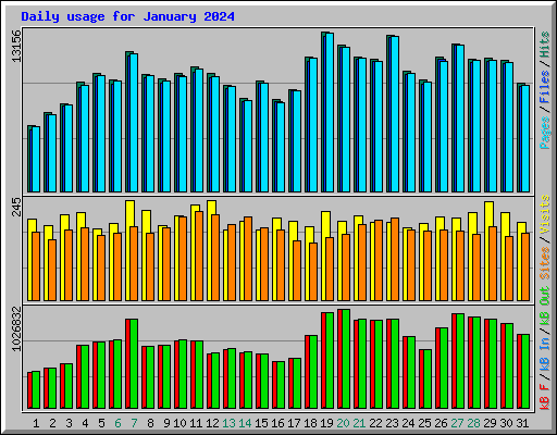 Daily usage for January 2024