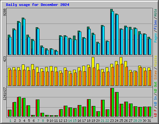 Daily usage for December 2024