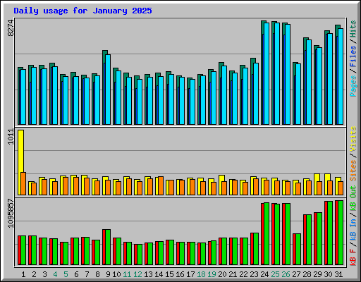 Daily usage for January 2025