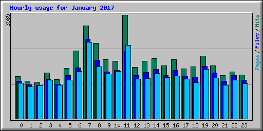 Hourly usage for January 2017