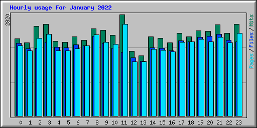 Hourly usage for January 2022