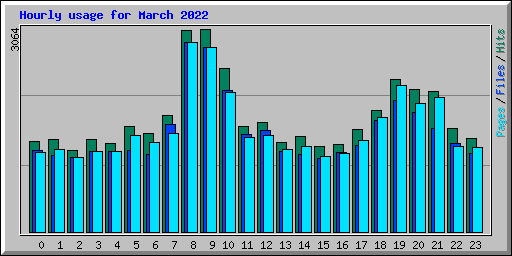 Hourly usage for March 2022