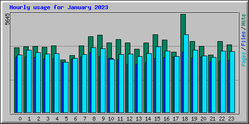 Hourly usage for January 2023