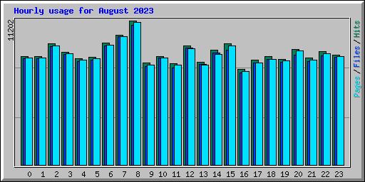 Hourly usage for August 2023