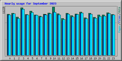 Hourly usage for September 2023