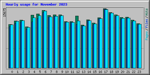 Hourly usage for November 2023