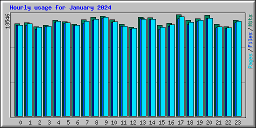 Hourly usage for January 2024