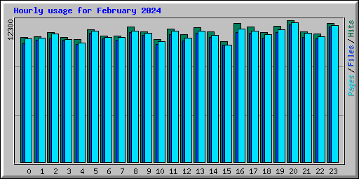 Hourly usage for February 2024