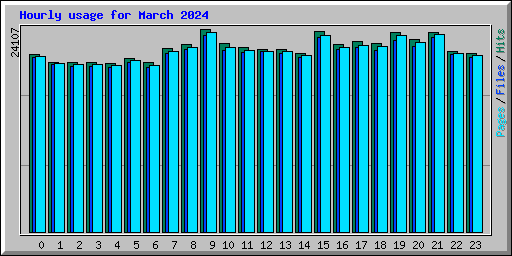 Hourly usage for March 2024