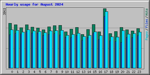 Hourly usage for August 2024