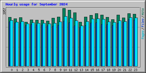 Hourly usage for September 2024