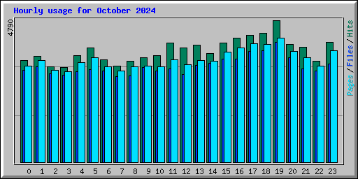 Hourly usage for October 2024