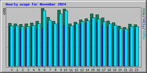 Hourly usage for November 2024