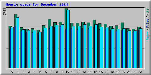 Hourly usage for December 2024