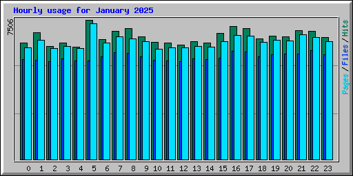 Hourly usage for January 2025