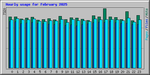 Hourly usage for February 2025