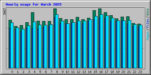 Hourly usage for March 2025